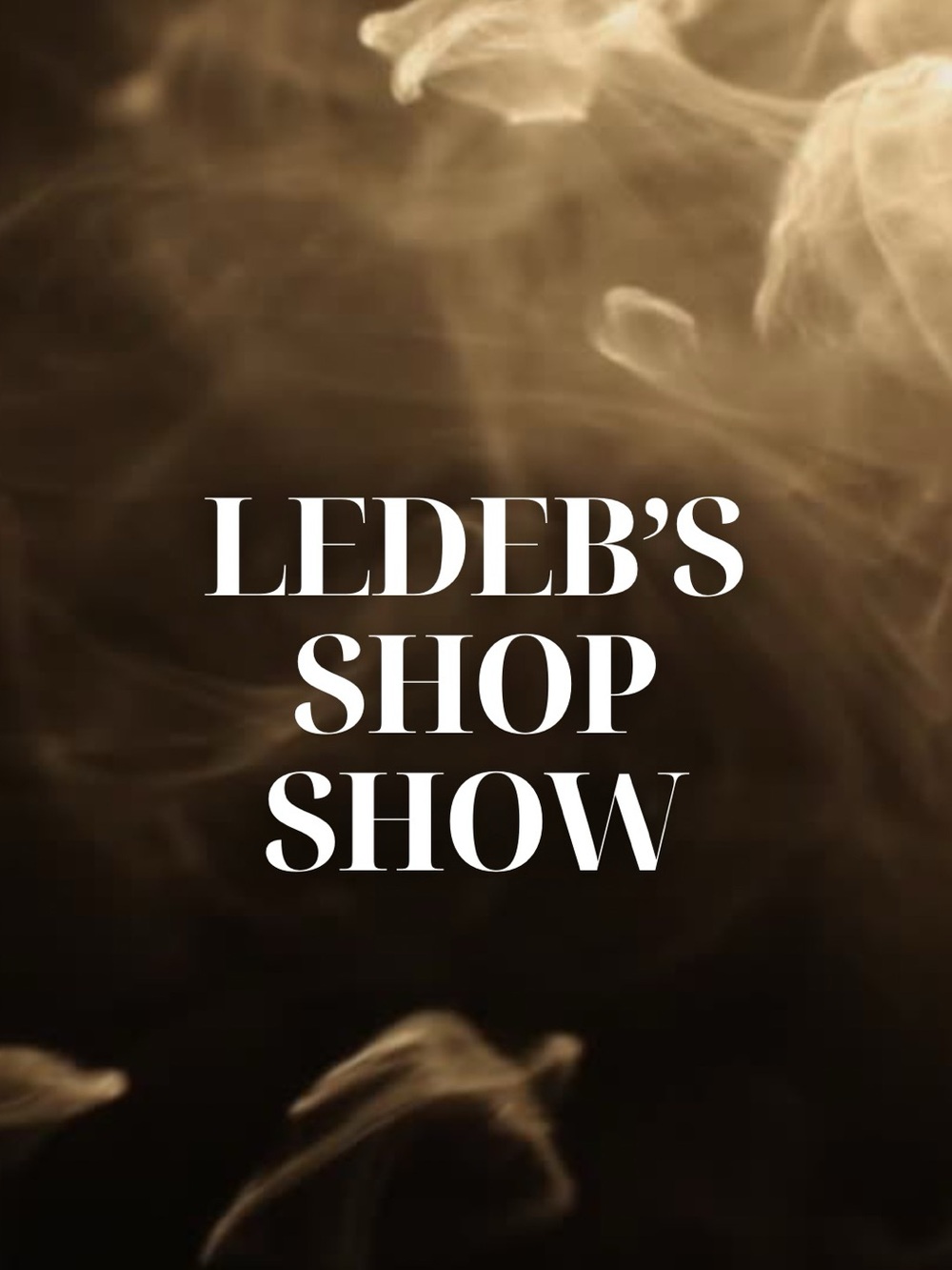 LEDEB'S SHOP SHOW